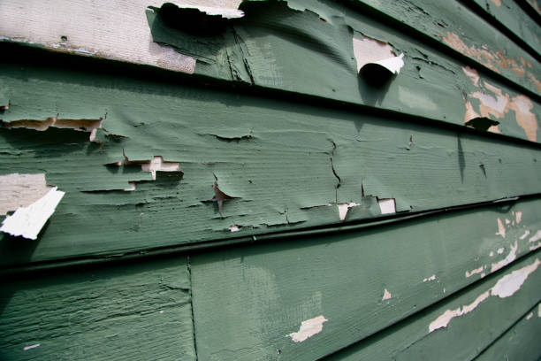 Best Hoarding Cleanup  in Staic, CA